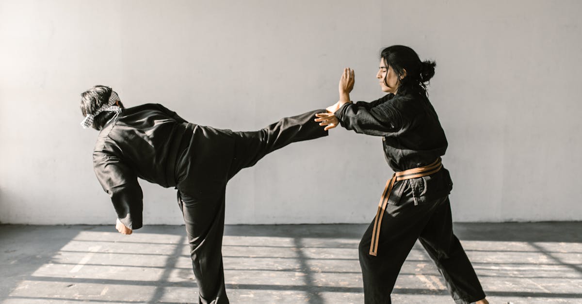 Two martial artists practicing karate kicks and self-defense in a sunlit room.
